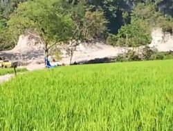 Gunung Karst Bontolempangan Maros Tergerus, Penanggung Jawab Akui Operasi Tanpa Izin