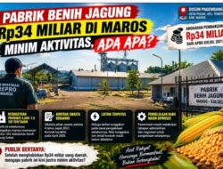 Pabrik Benih Jagung Rp34 Miliar di Maros Minim Aktivitas, Ada Apa?